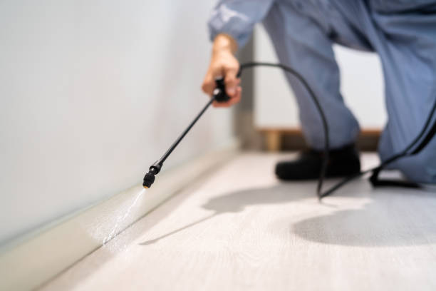 Licensed Termite Control service in Wilcox County County, AL - Nex Pest Control