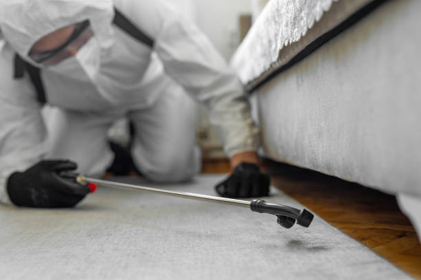 Professional Termite Control technician working in Wilcox County County, AL
